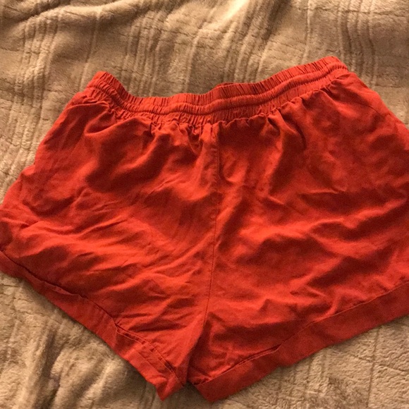 Shorts - Picture 4 of 4